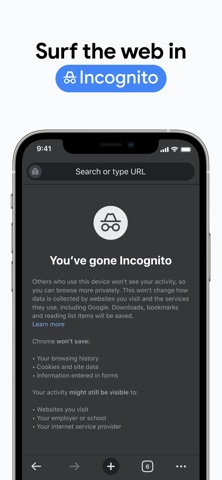 Google Chrome Screenshot 8