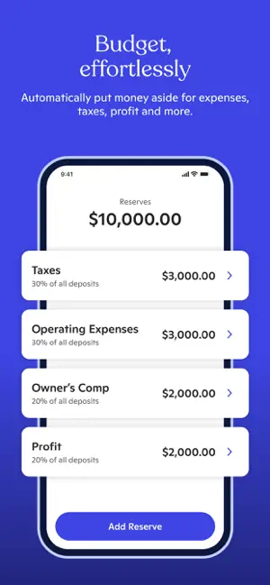 Novo - Small Business Checking screenshot 3
