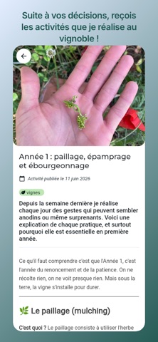 Vinae: Le vignoble unique screenshot