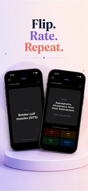 Flashy Study Cards screenshot 3