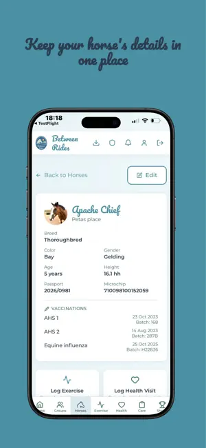Between Rides screenshot 3