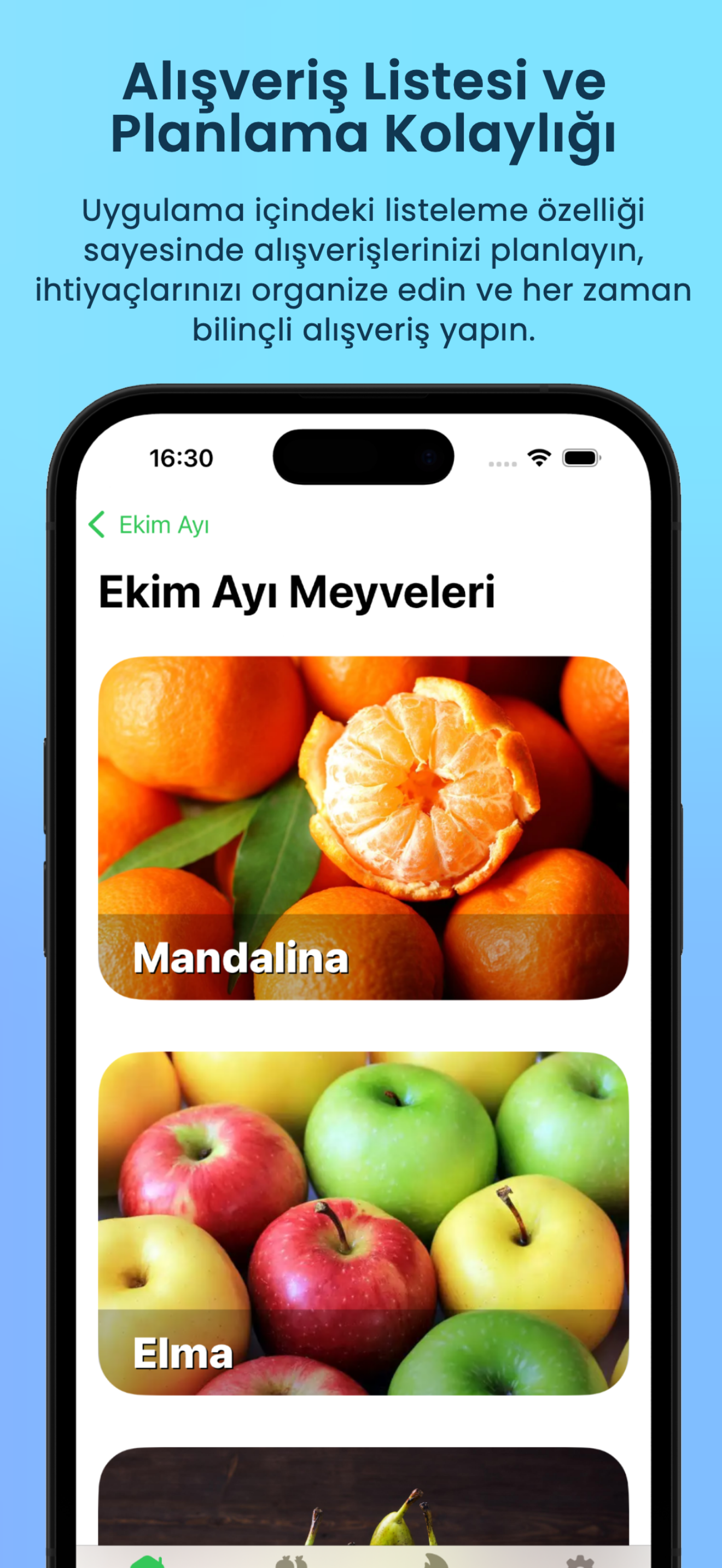 Cuspart: Dört Mevsim
