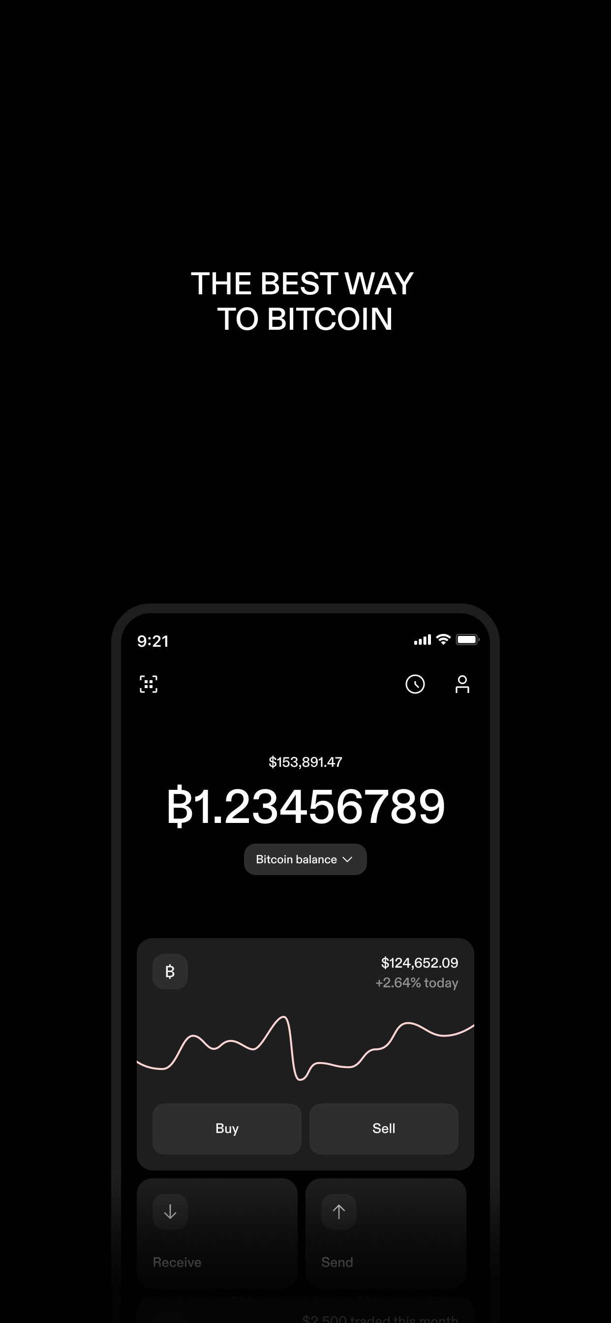 STRIKE: BUY & HOLD BITCOIN