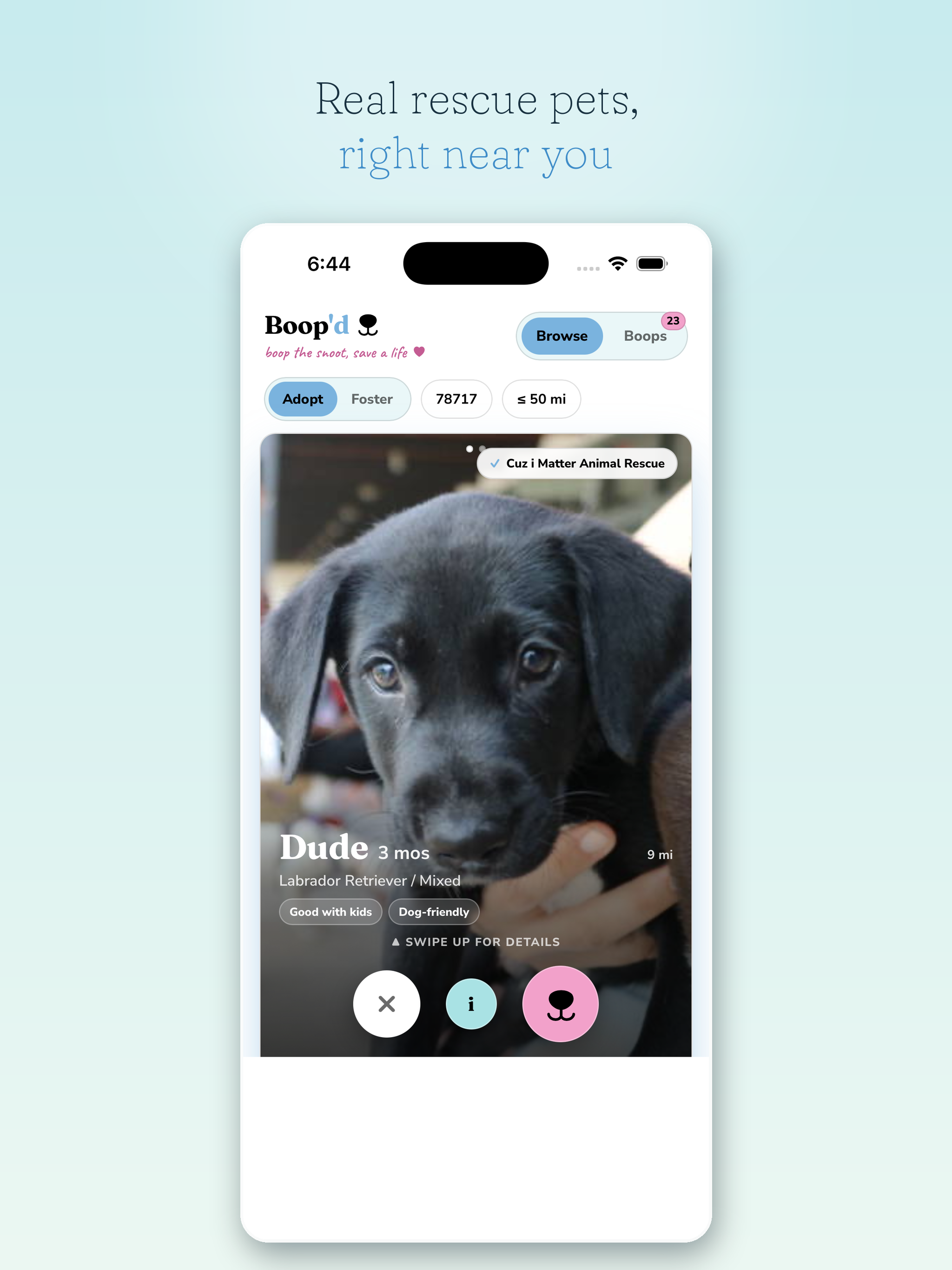 Boop'd: Rescue Pet Adoption screenshot 4