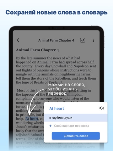 Lingualeo: учи английский язык iPad screenshot 3