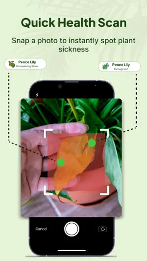 AI plant identifier plantcare screenshot 2