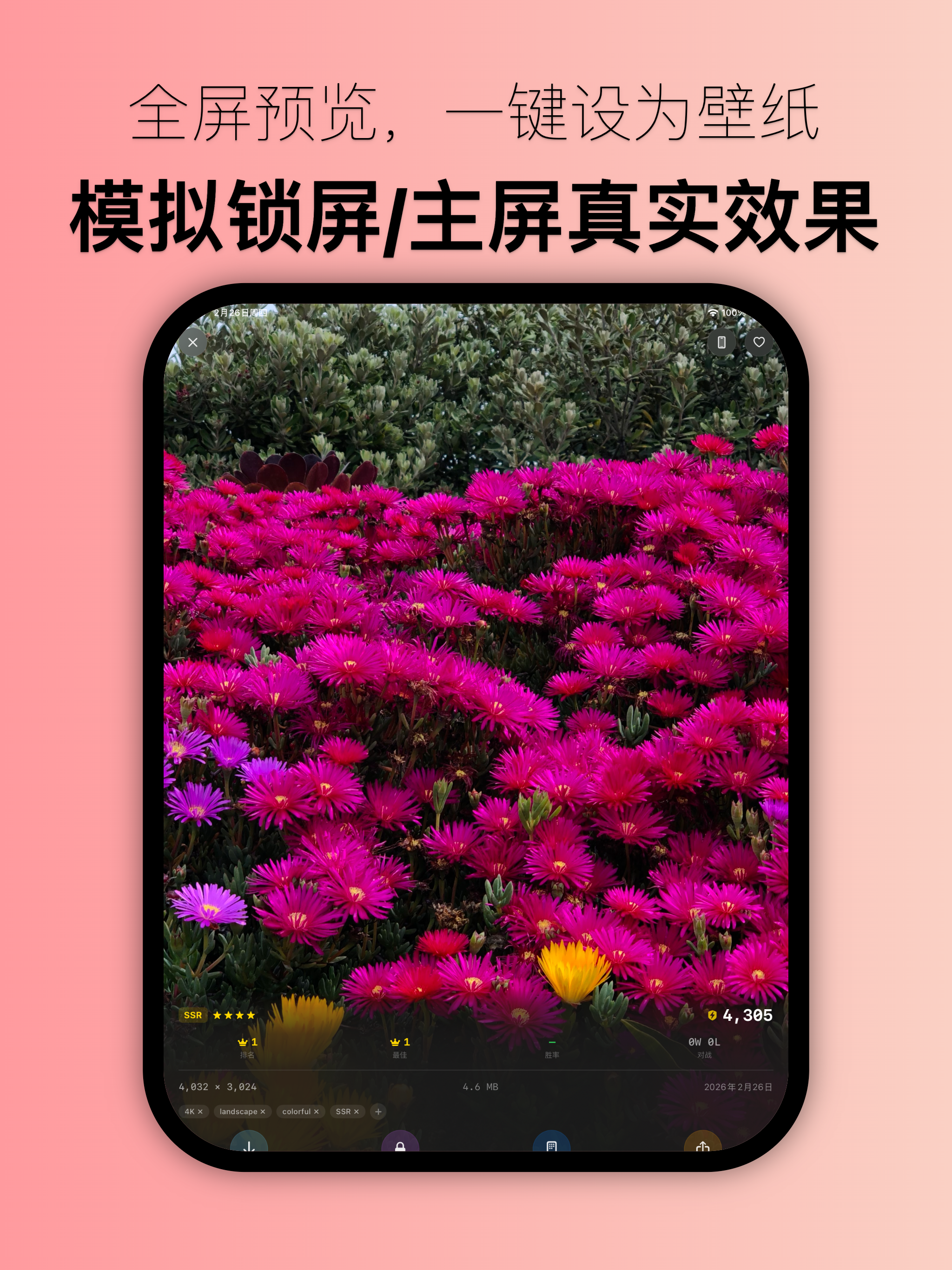 WallVault - 壁纸收藏管理神器