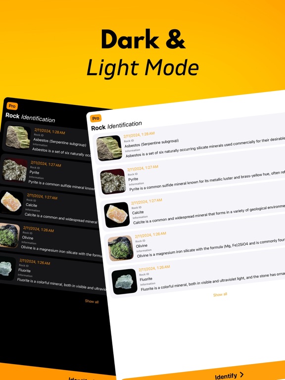 Rock Scanner: Stone Identifier iPad screenshot 7 - Reference app