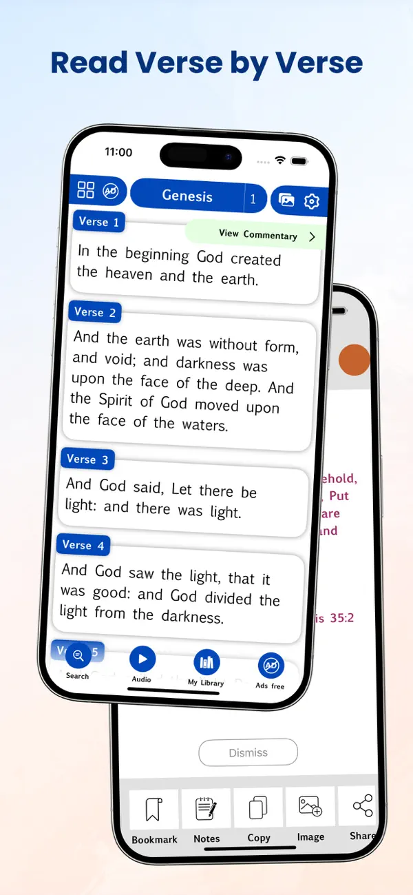 Screenshot #1 pour John Wesley's Explanatory