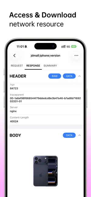 Network Sniffer iPhone screenshot 3