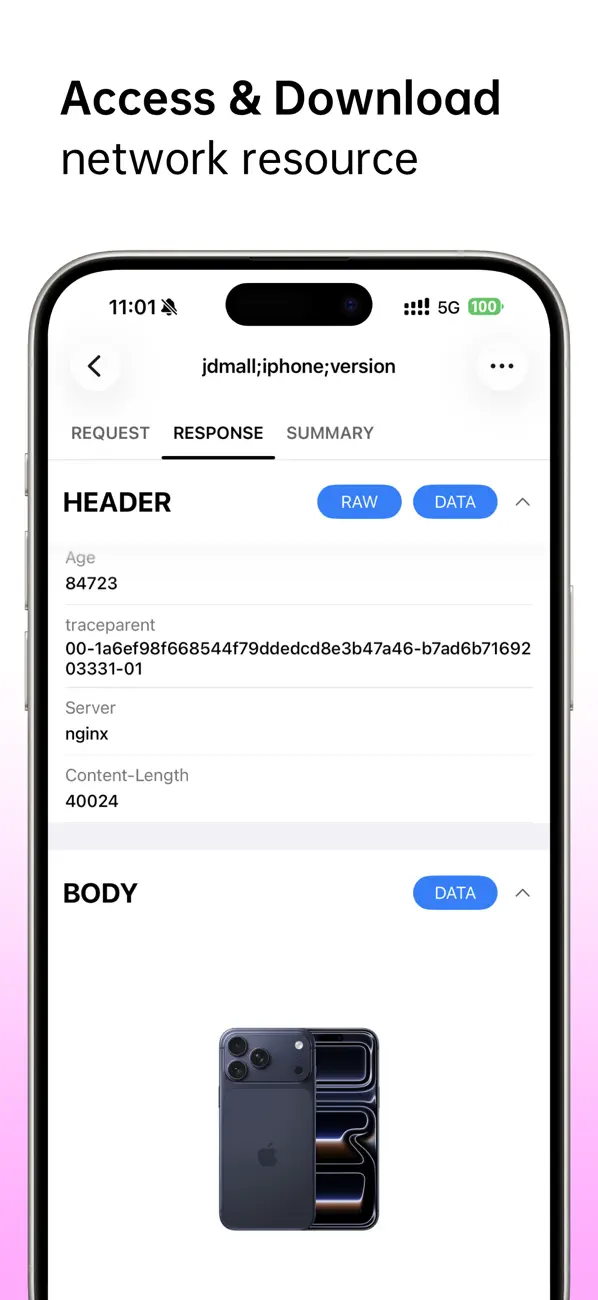 #3. Network Sniffer (iOS) di: CHENGDU MIAOZHI TECHNOLOGY CO., LTD.