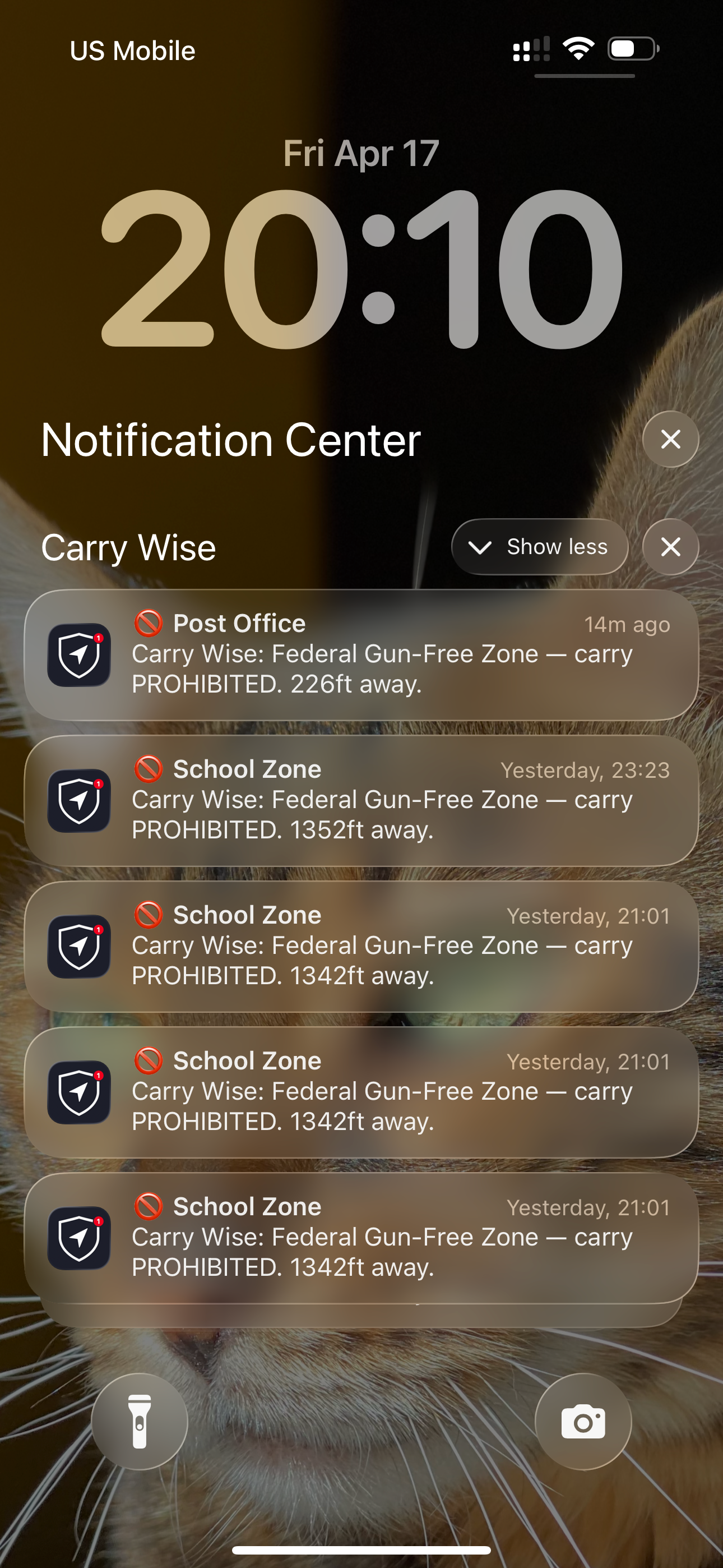 Carry Wise