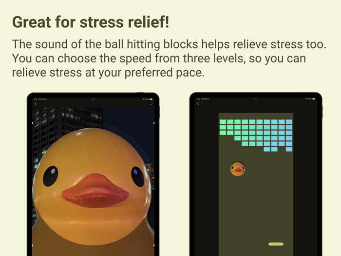 My Photo Brick Breaker