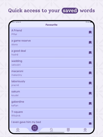 Czech | Czech Dictionary iPad screenshot