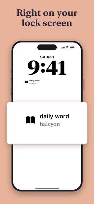 Vocabulary Daily Words English screenshot 2