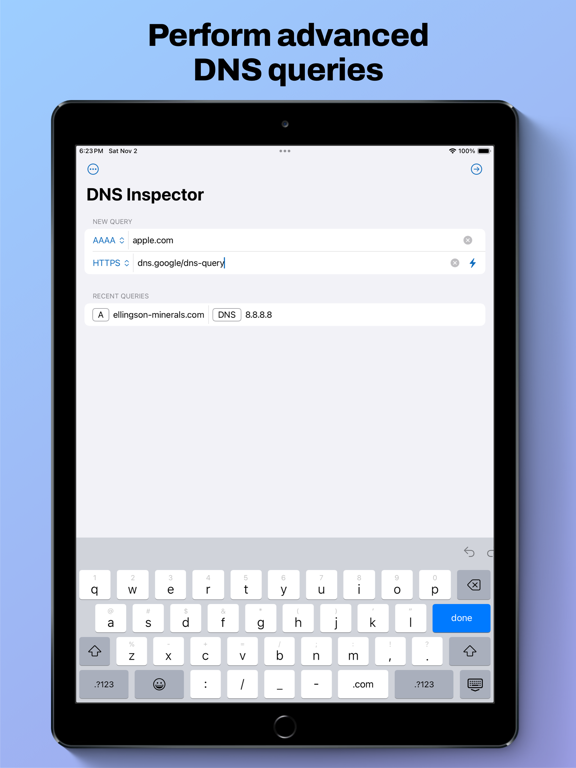 Screenshot #4 pour DNS Inspector