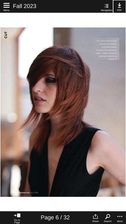 American Salon Magazine