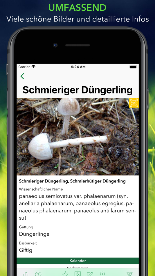 #6. Pilze 123 (iOS) بواسطة: Swift Management AG