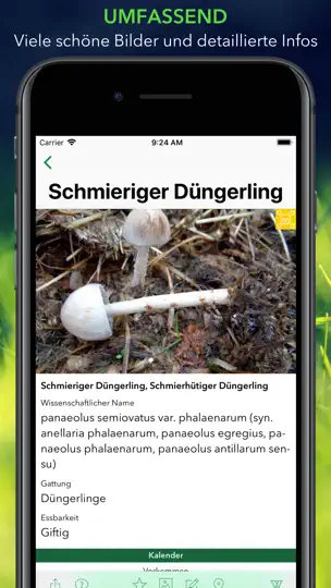 Screenshot von Pilze 123 auf dem iPhone 6