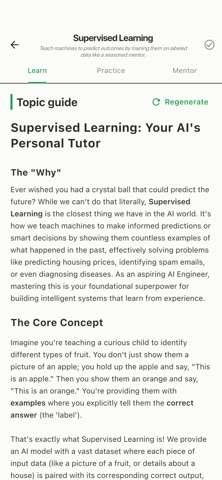 Kuki: AI Coding Mentor screenshot