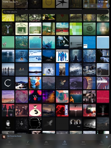Fidelia — Hi-Res Music Player iPad screenshot
