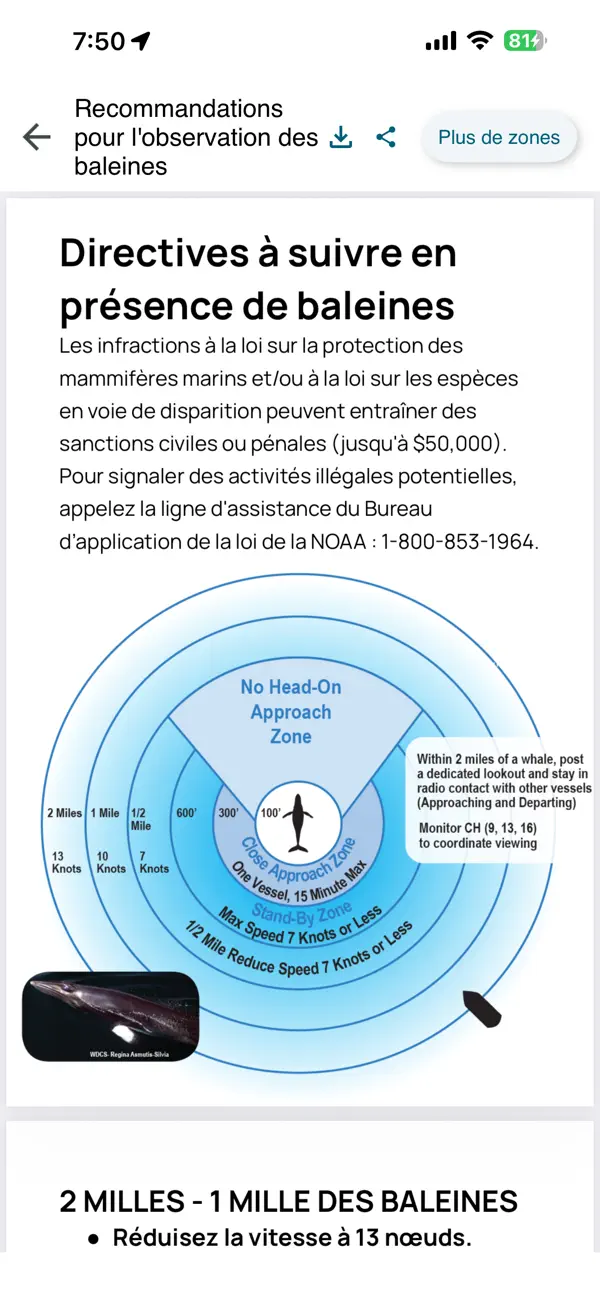 Screenshot #2 pour Whale Alert