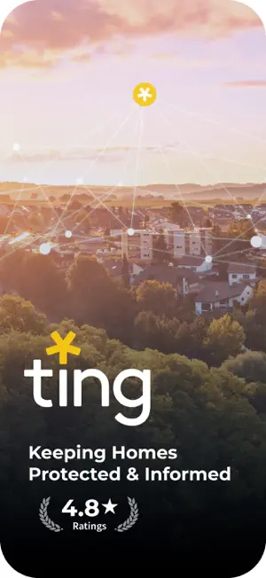 Ting screenshot 1