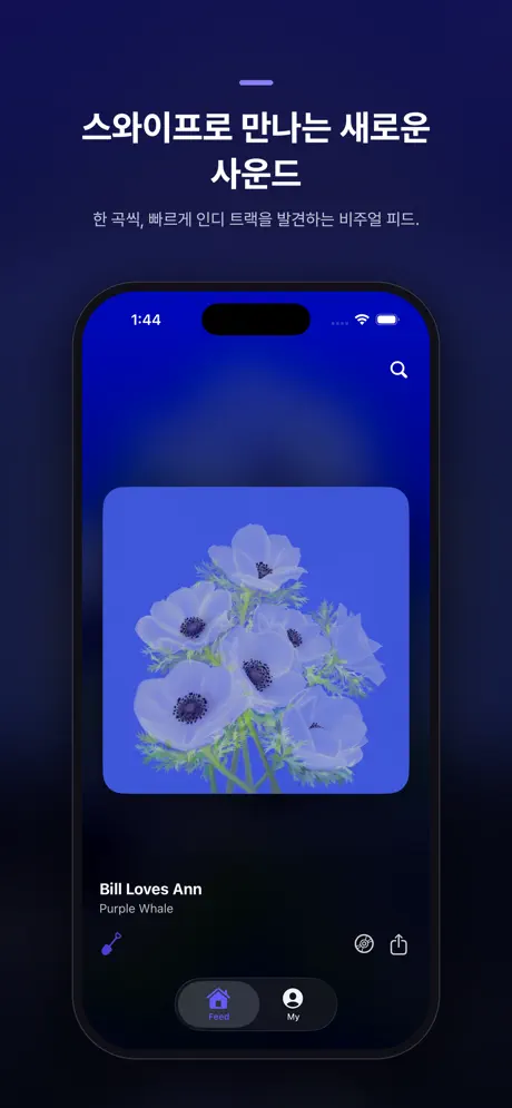 Dignify Music screenshot 3