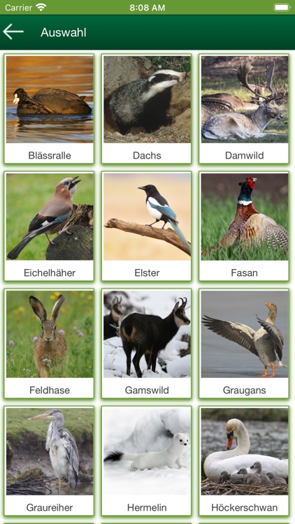 BJV Wild Experte Jagd screenshot-4