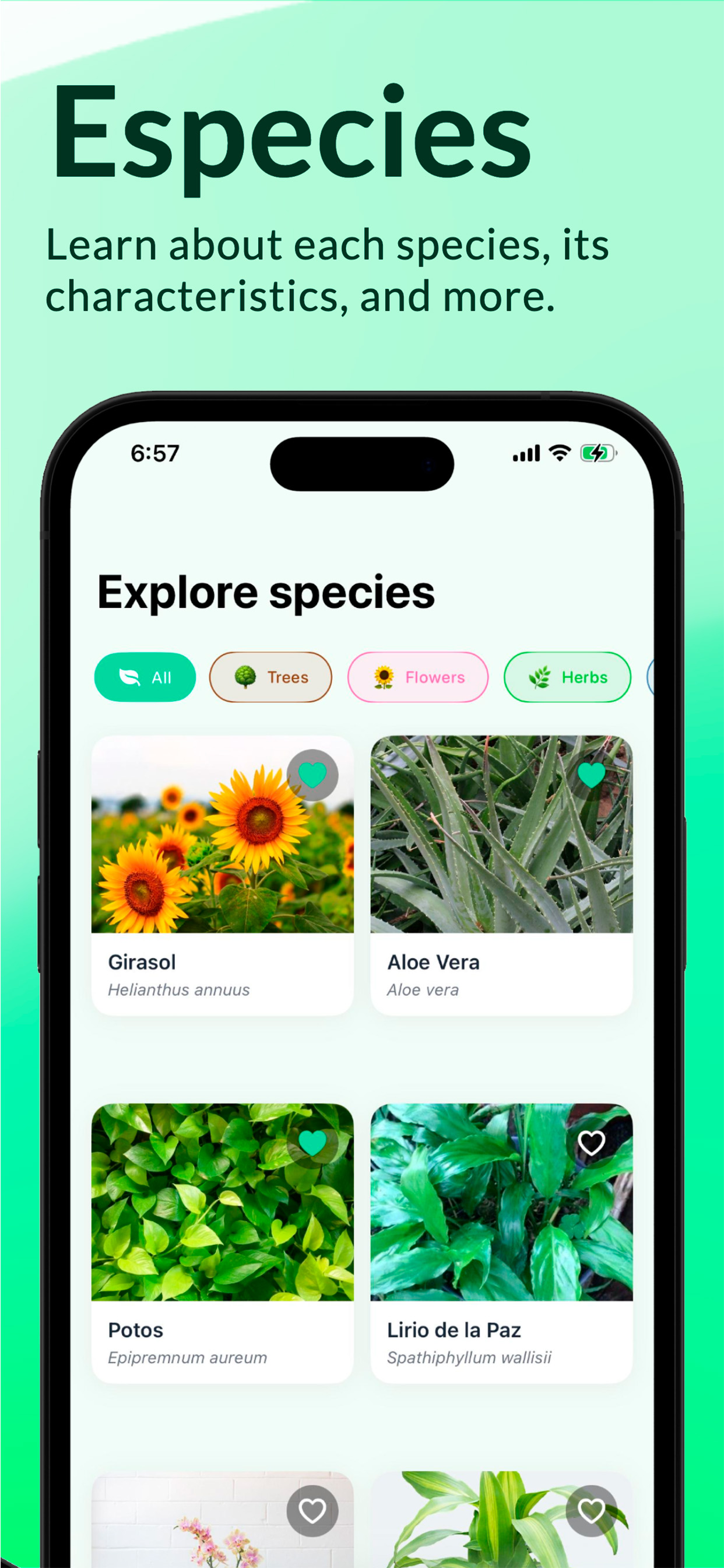 EcoSiembra screenshot 4