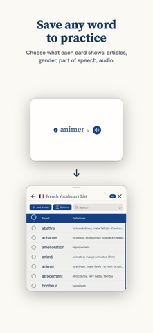 Practy - Vocab & Conjugations Screenshot 4 of 5
