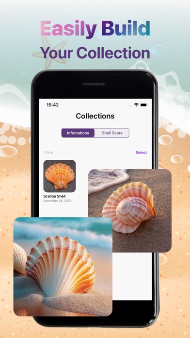 Conchology Identifier Screenshot