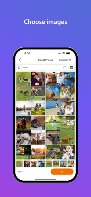 SELPHY Photo Layout screenshot 3