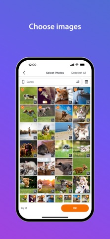 SELPHY Photo Layout Screenshot 3 of 5