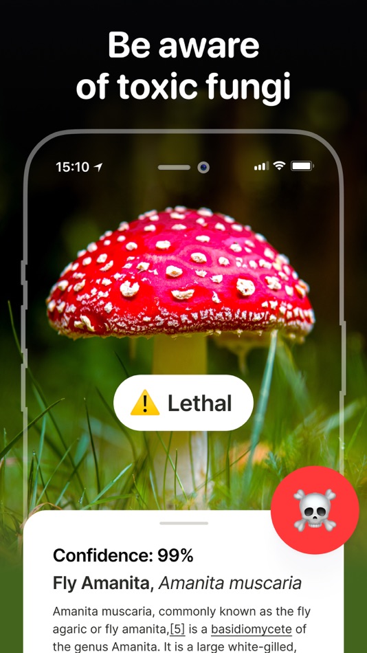 #2. Mushroom Identifier - Fungi ID (iOS) 由: Palina Baltsevich