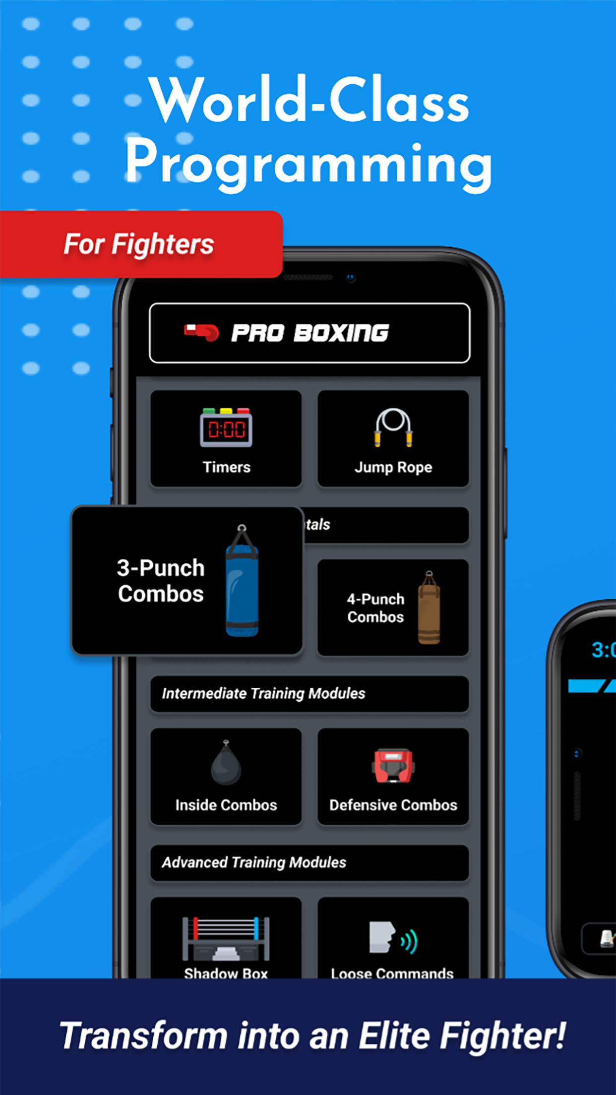 BOXING Training and Workout