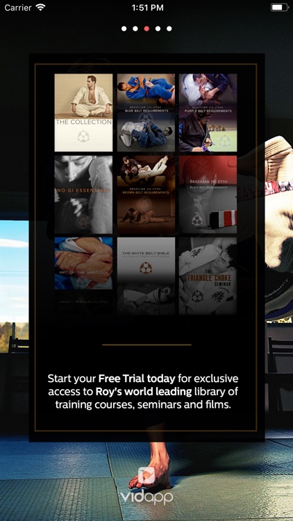 Roy Dean Jiu Jitsu ROYDEAN.TV