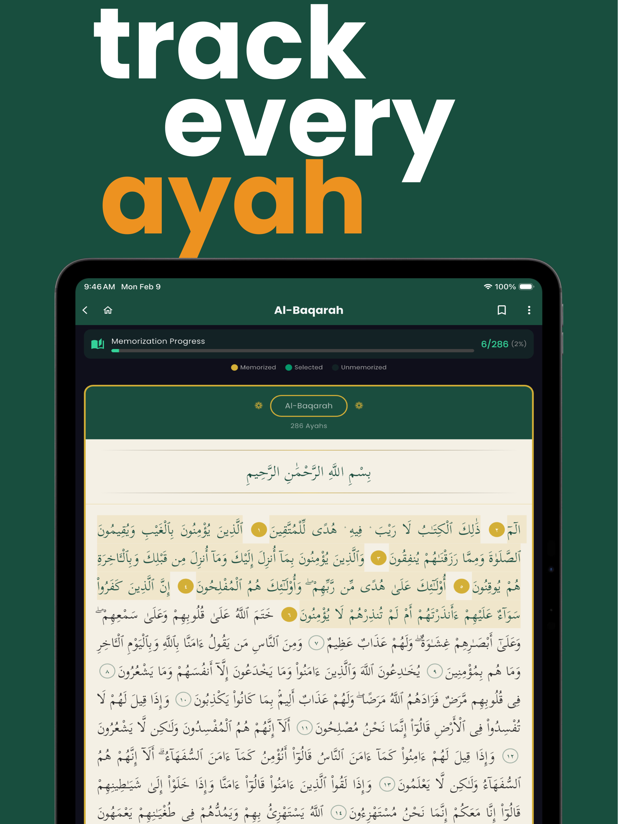 HifzAI - Quran Memorization screenshot 9