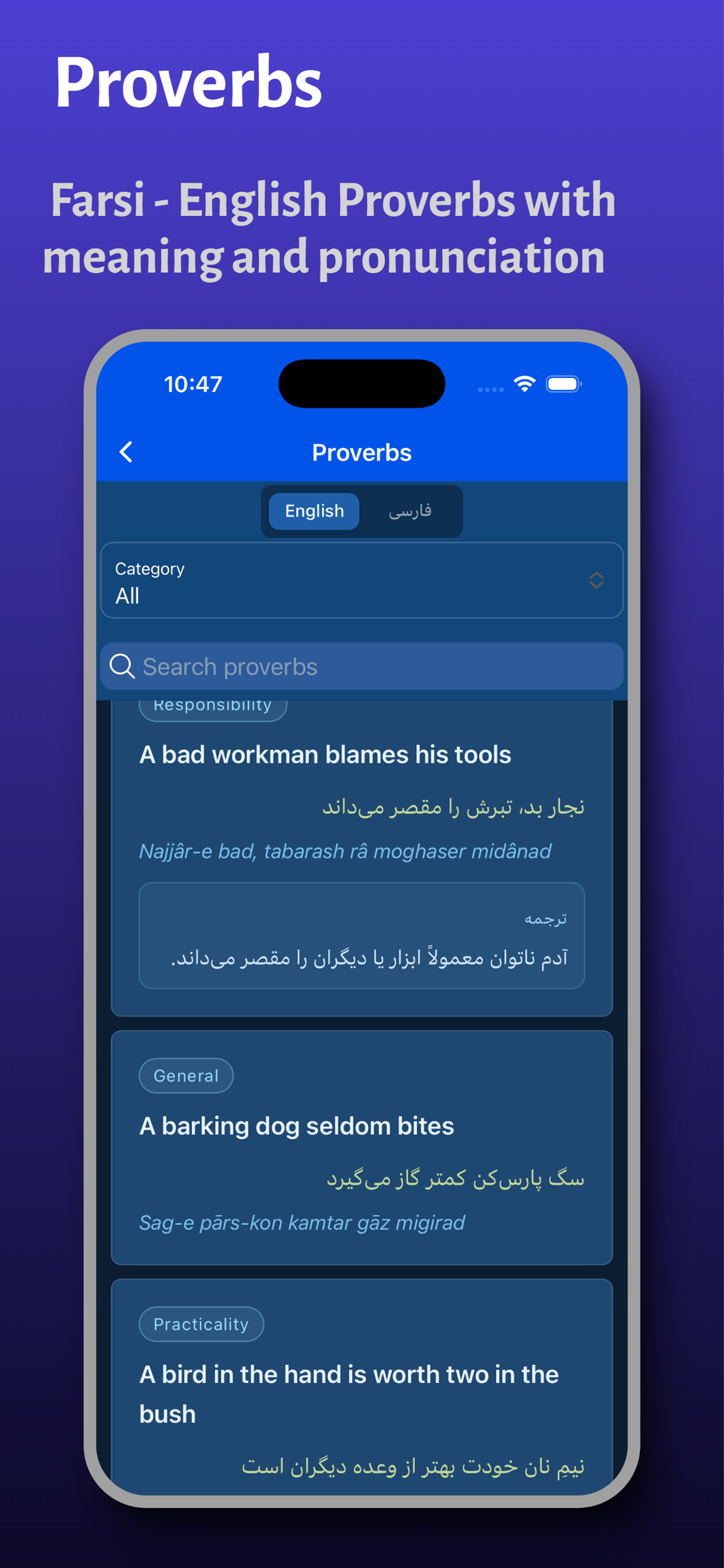 Farsi Persian Dictionary screenshot 6
