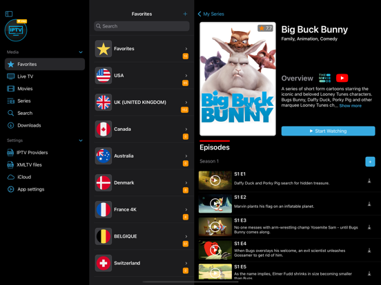 IPTV Streamer Pro iPad screenshot 3