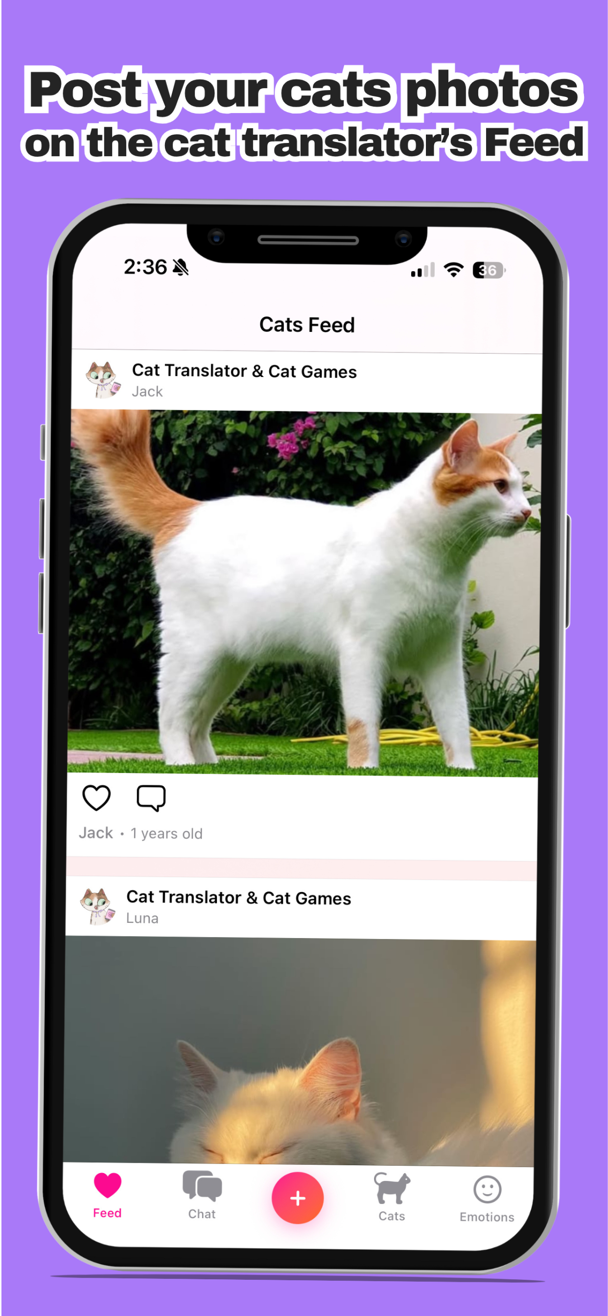 Cat Translator – Talk To Cat
