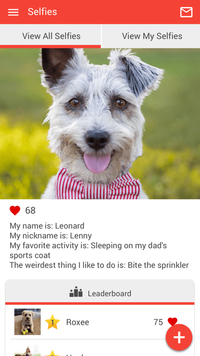 Loving Care Pets Screenshot