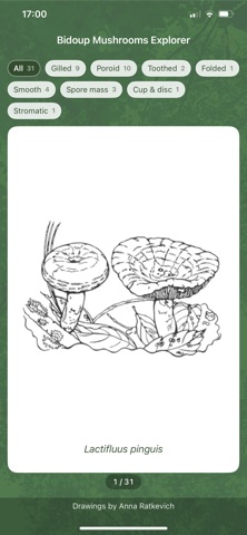 Bidoup Mushrooms Explorer