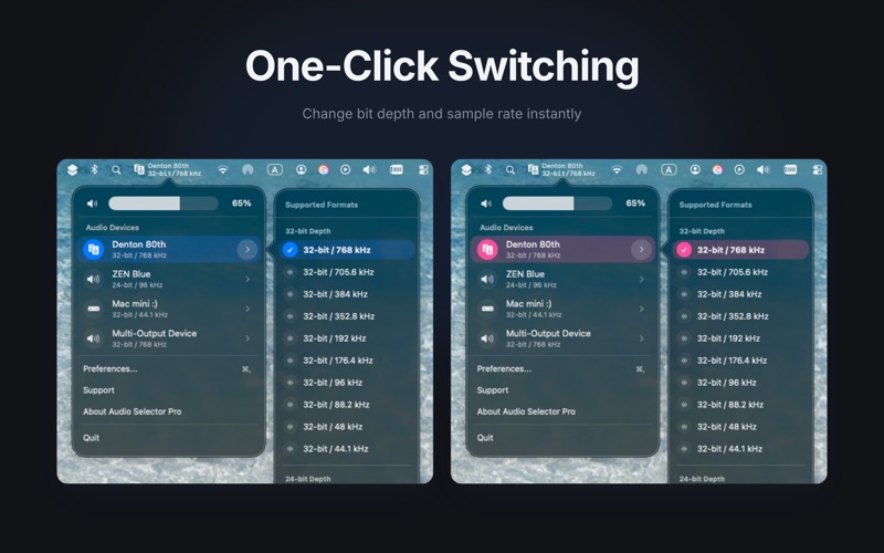 Audio Selector screenshot