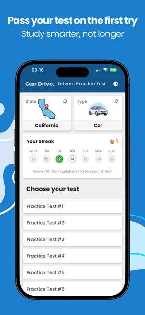 Driver's License Practice Test screenshot 1
