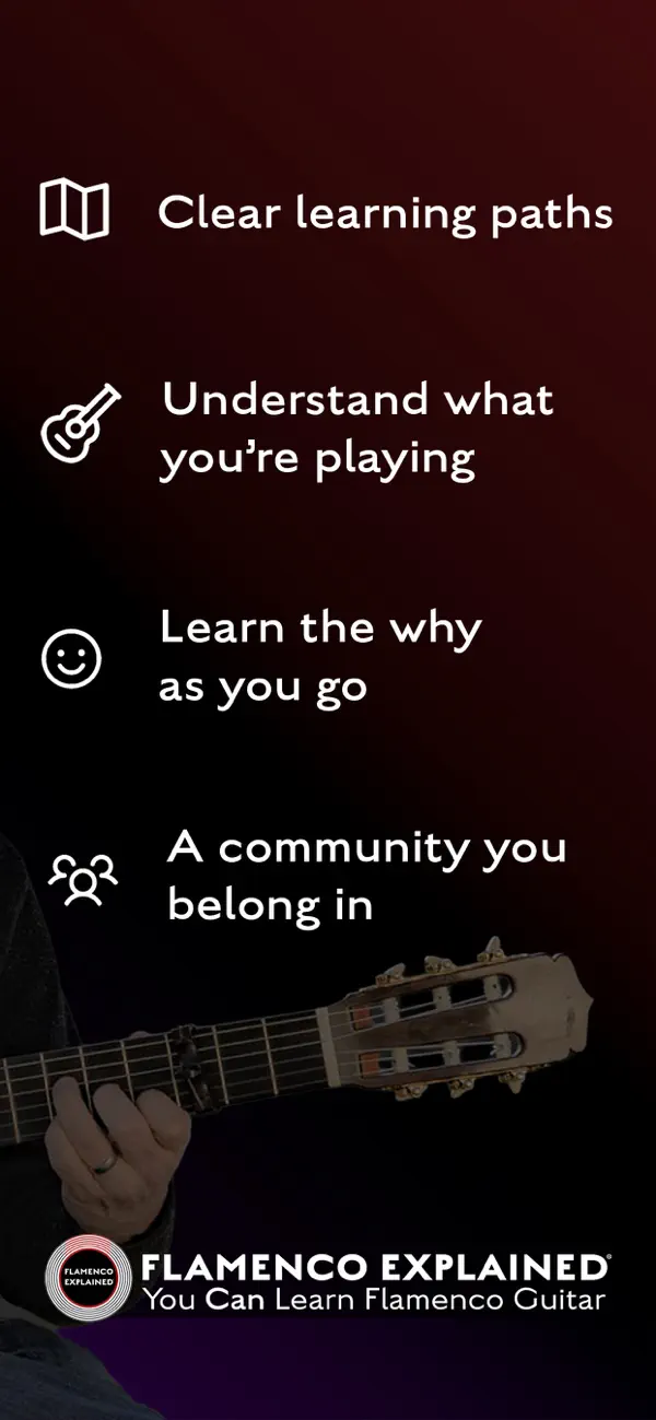 Screenshot #2 pour Flamenco Explained