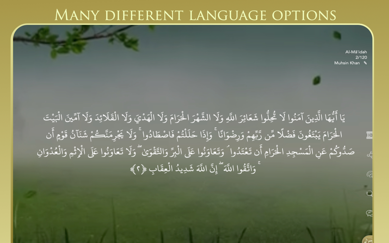 Offline Quran Audio Reader 2 screenshot 28