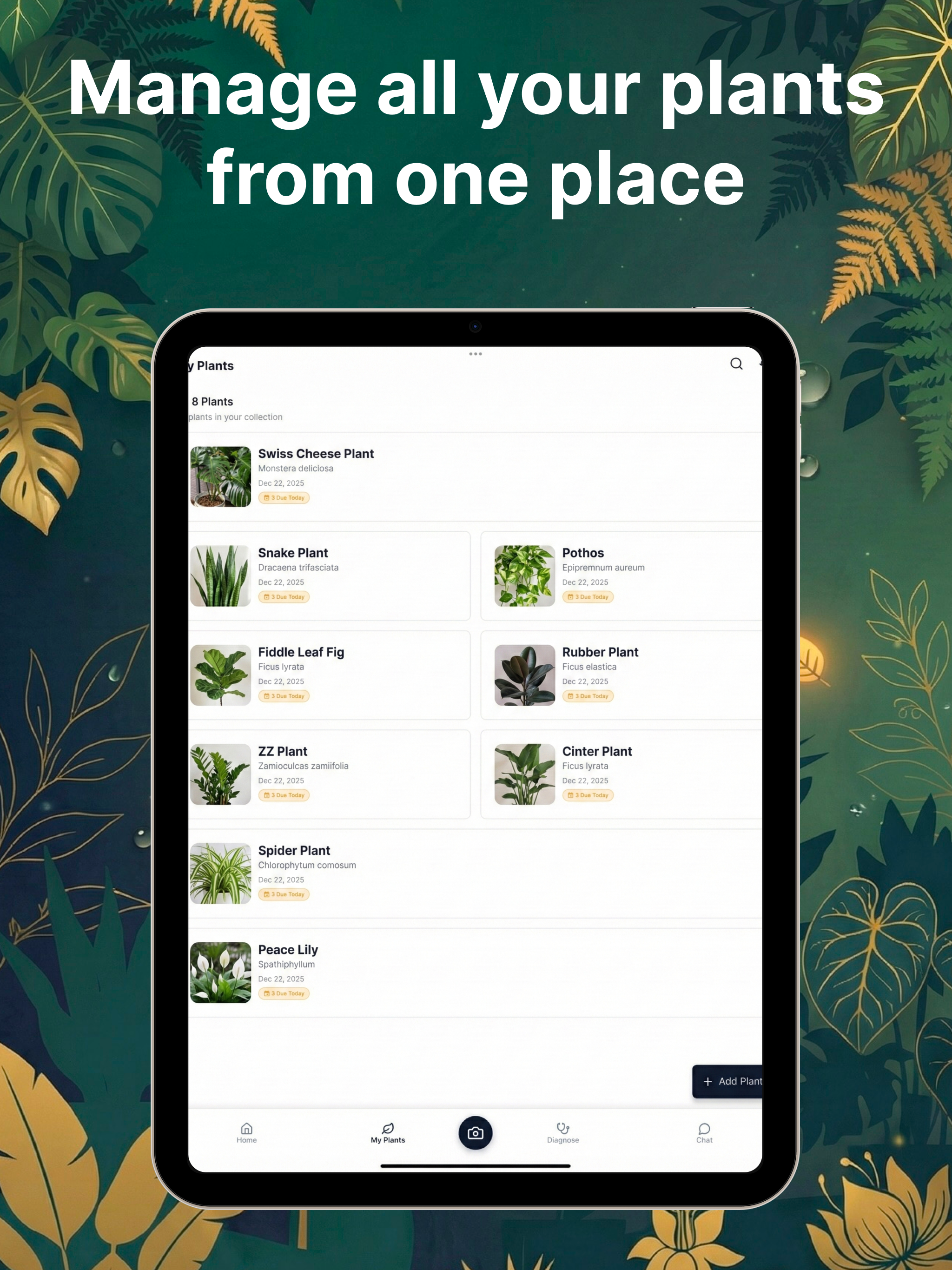 Plant Identifier AI: Fylora
