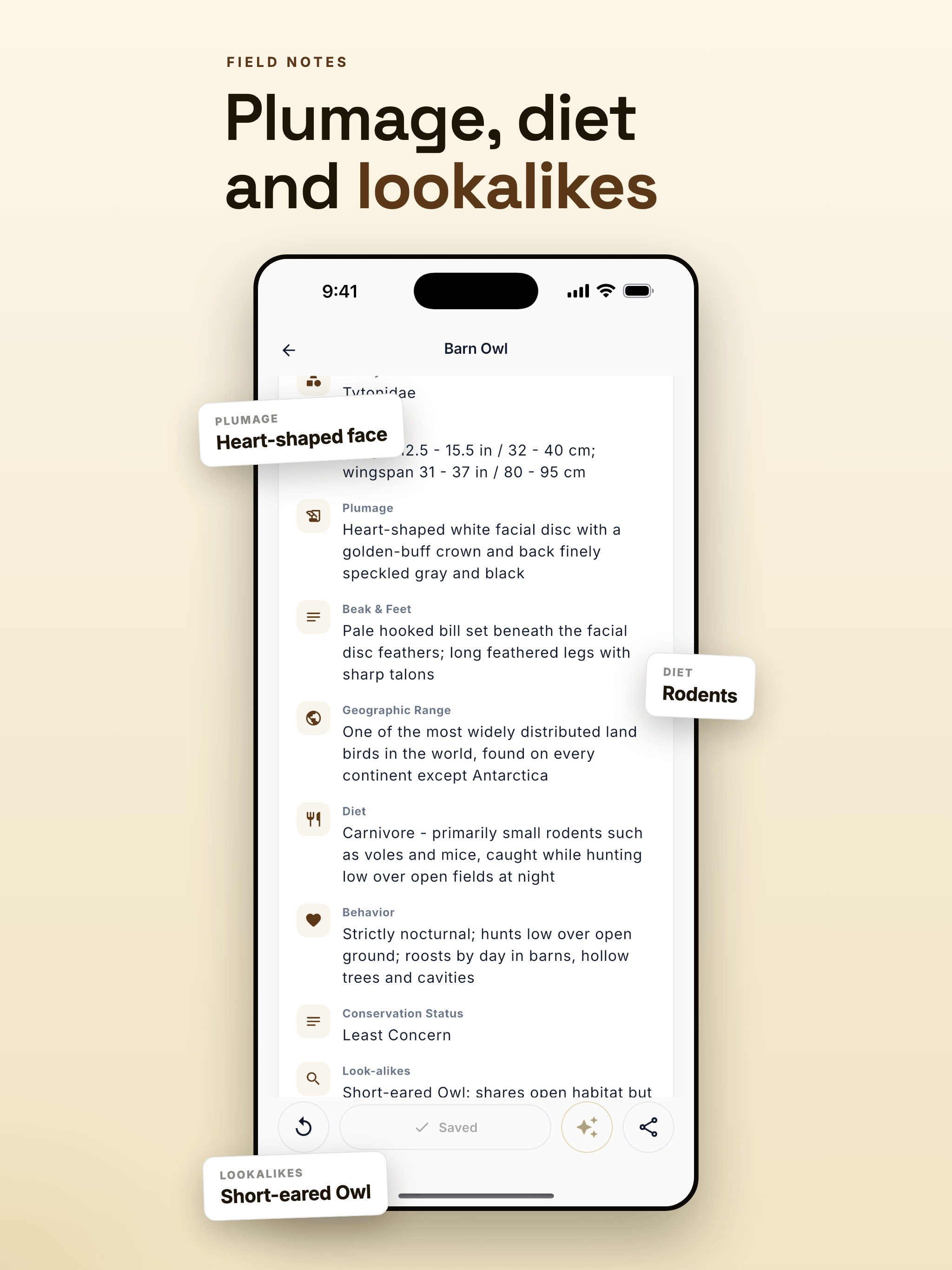 Bird Identifier: Species ID screenshot 10