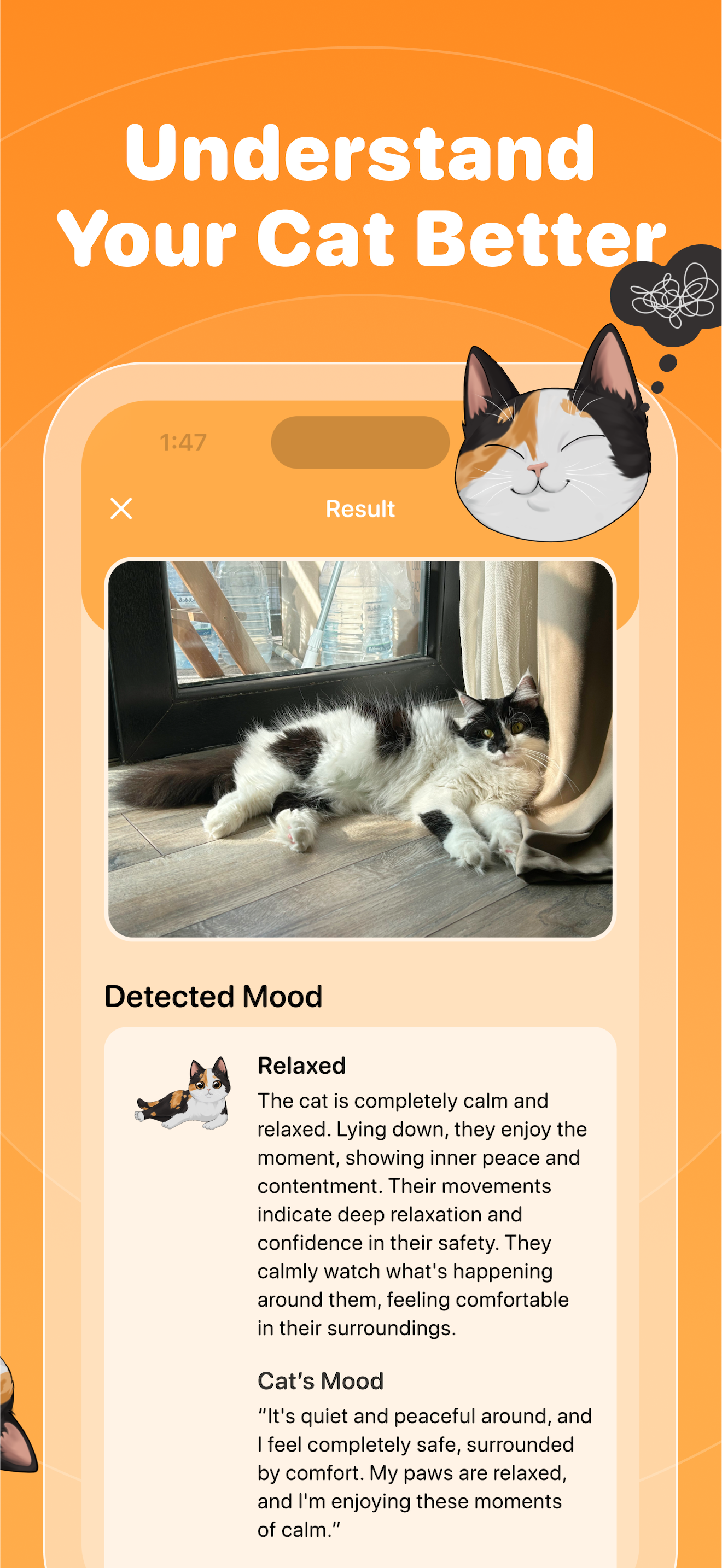 Cat Body Language Recognizer